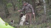 L'addestramento del cane da tartufo