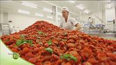 La lavorazione del pomodoro ciliegino