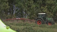 Sapori di Sardegna