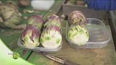 Frutta e verdura lavata e selezionata