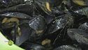 Come gustare al meglio le cozze e le vongole