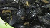 Come gustare al meglio le cozze e le vongole
