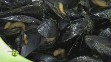 Come gustare al meglio le cozze e le vongole