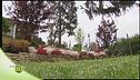 La creazione di splendidi giardini