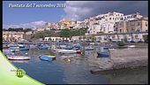 Sapori del Mediterraneo