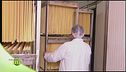 La produzione di pasta