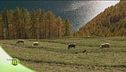 Maso Val Senales
