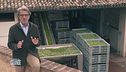 Il nettare degli dei