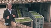 Il nettare degli dei