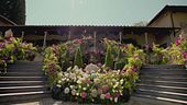 Un tripudio di piante e di fiori