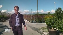 Un giardino dell'Eden plasmato dalla paziente mano dell'uomo