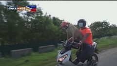 Puntata del 10 gennaio