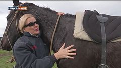 Puntata del 17 gennaio