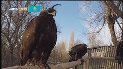 Puntata del 24 gennaio