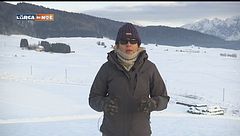 Puntata del 31 gennaio