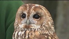 Puntata del 7 febbraio