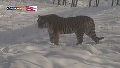 Puntata del 14 febbraio