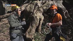 Puntata del 21 febbraio