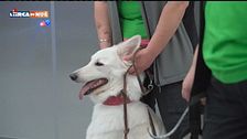 L'Educa-Cani