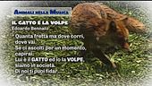 Animali nella musica