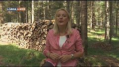 Puntata del 12 settembre