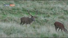 Puntata del 10 ottobre