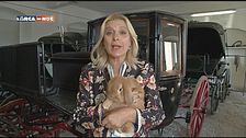 Puntata del 24 ottobre