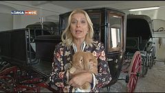 Puntata del 24 ottobre