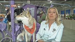 Puntata del 31 ottobre