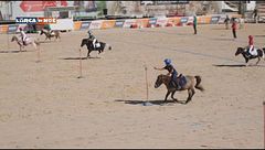 Puntata del 7 novembre