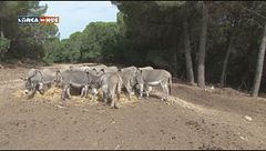 Puntata del 14 novembre