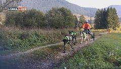 Puntata del 21 novembre