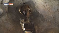 Puntata del 28 novembre