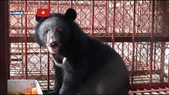 Puntata del 12 dicembre