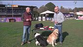 L'educa-cani
