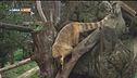 A spasso nel bioparco di Roma
