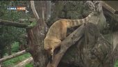 A spasso nel bioparco di Roma
