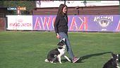 L'educa-cani