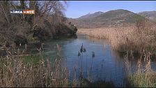 Sorgenti di vita