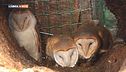 Fauna selvatica, che meraviglia!