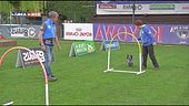 L'educa-cani