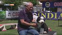 L'Educa-Cani