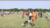 L'Educa-cani