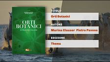 Il Can-piello
