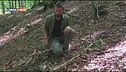 Survival