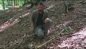 Survival