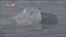 Pillole di blu