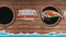 A bordo dell'Arca oggi