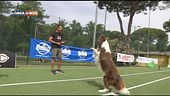 L'Educa-Cani