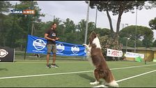 L'Educa-Cani
